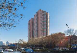 大紅袍紙盒包裝哪家正規(guī)